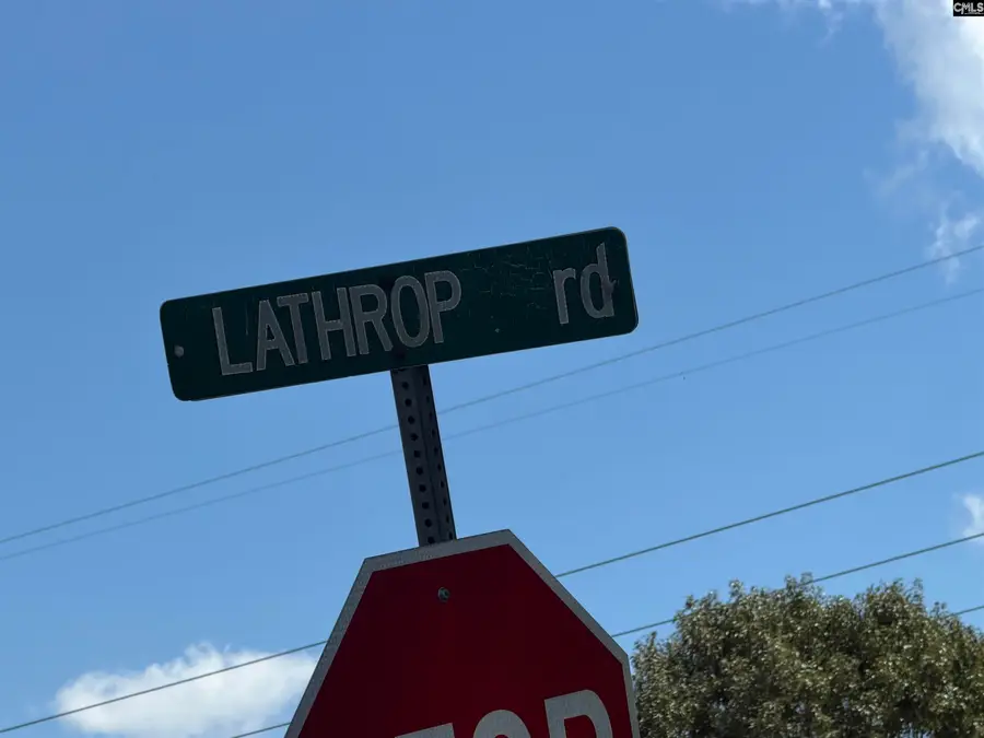 0 Lathrop Road, Pomaria, SC 29126 - #3