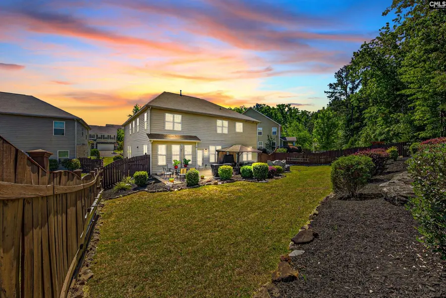 436 Maria Posada Court, Chapin, SC 29036 - #2