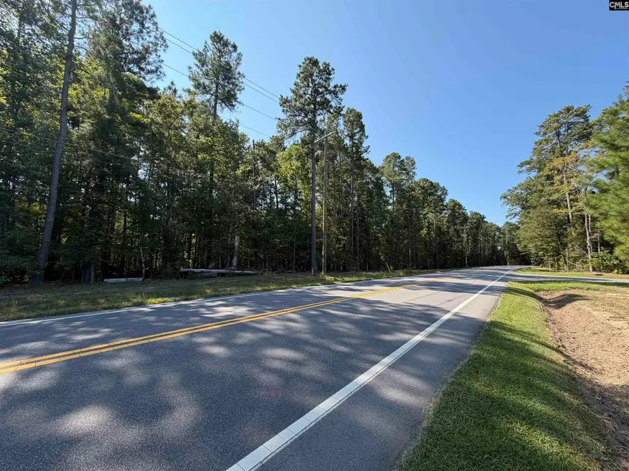 367 Murray Lindler Road, Chapin, SC 29036 - #2