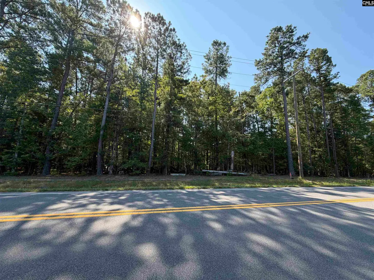 379 Murray Lindler Road, Chapin, SC 29036 - #1