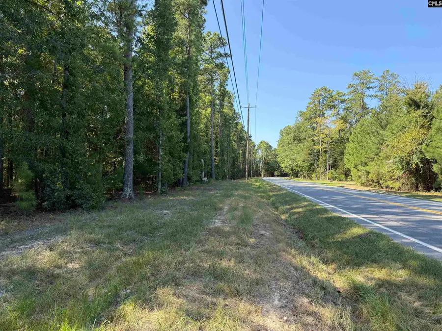 379 Murray Lindler Road, Chapin, SC 29036 - #2