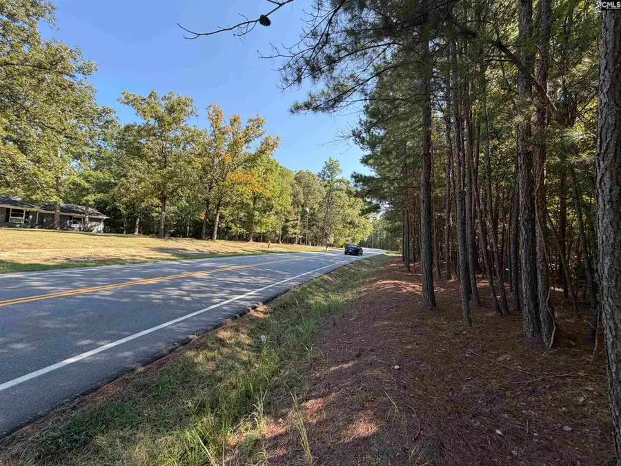 391 Murray Lindler Road, Chapin, SC 29036 - #2