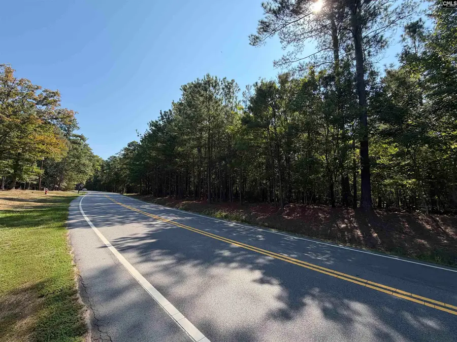 427 Murray Lindler Road, Chapin, SC 29036 - #2