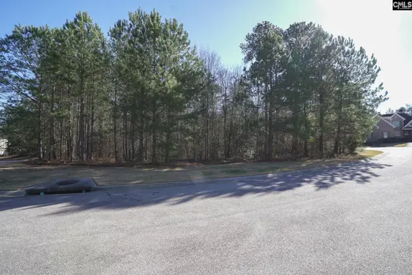 329 Brunner Circle, Blythewood, SC 29016