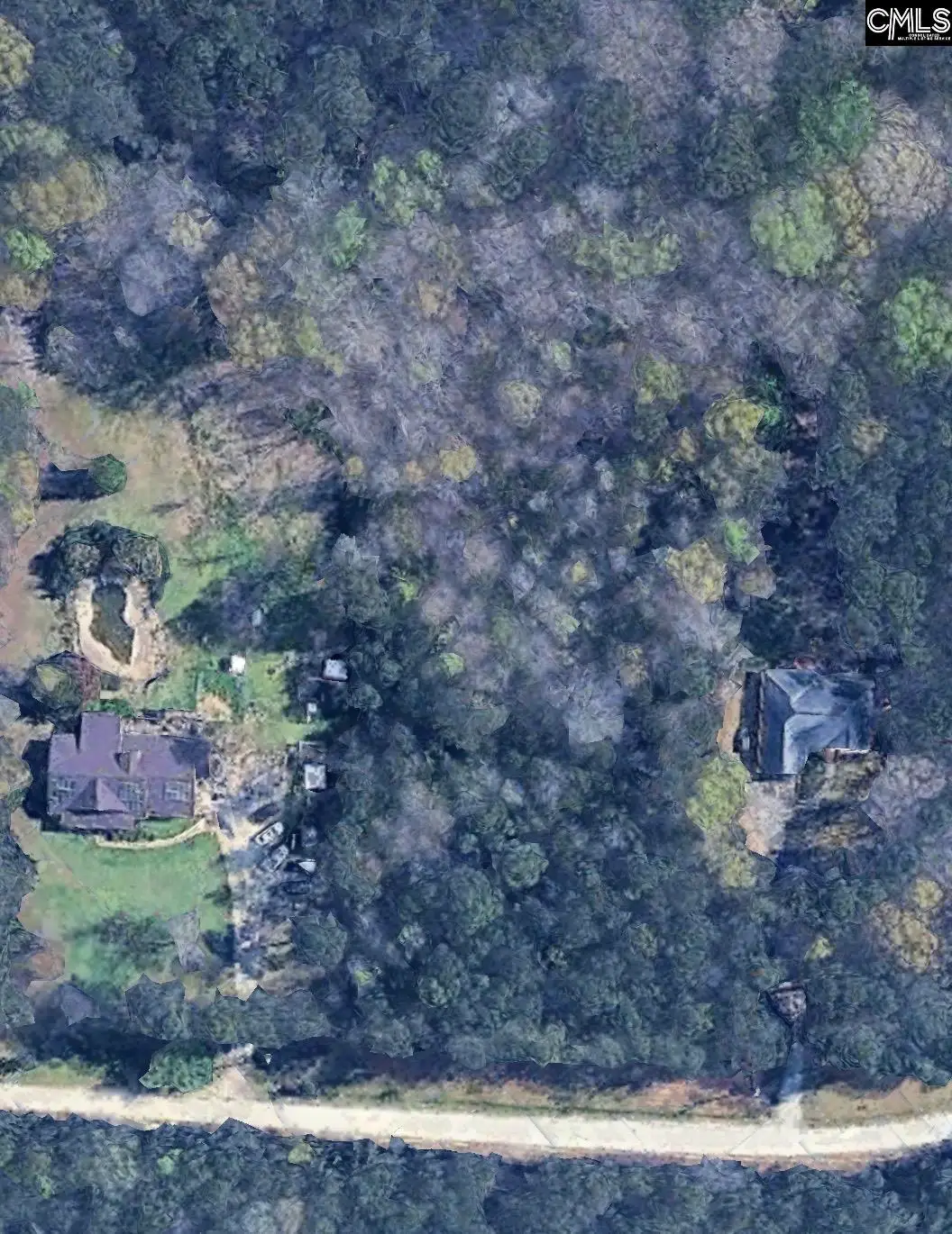 143 Eagle Chase Court, Chapin, SC 29036 - #1