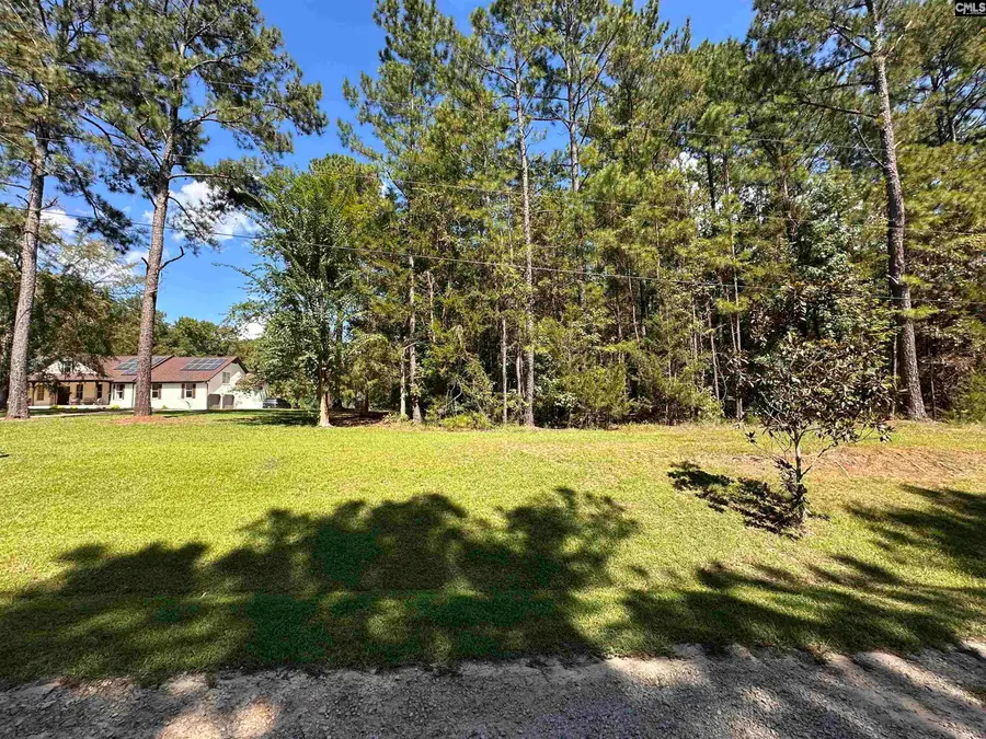 143 Eagle Chase Court, Chapin, SC 29036 - #3