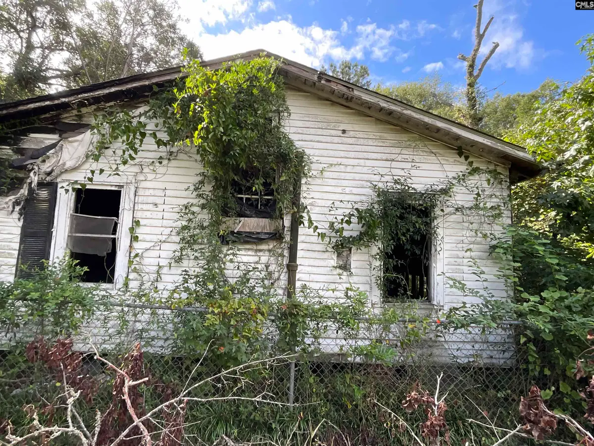 66 Swan Lane, Bamberg, SC 29003 - #1