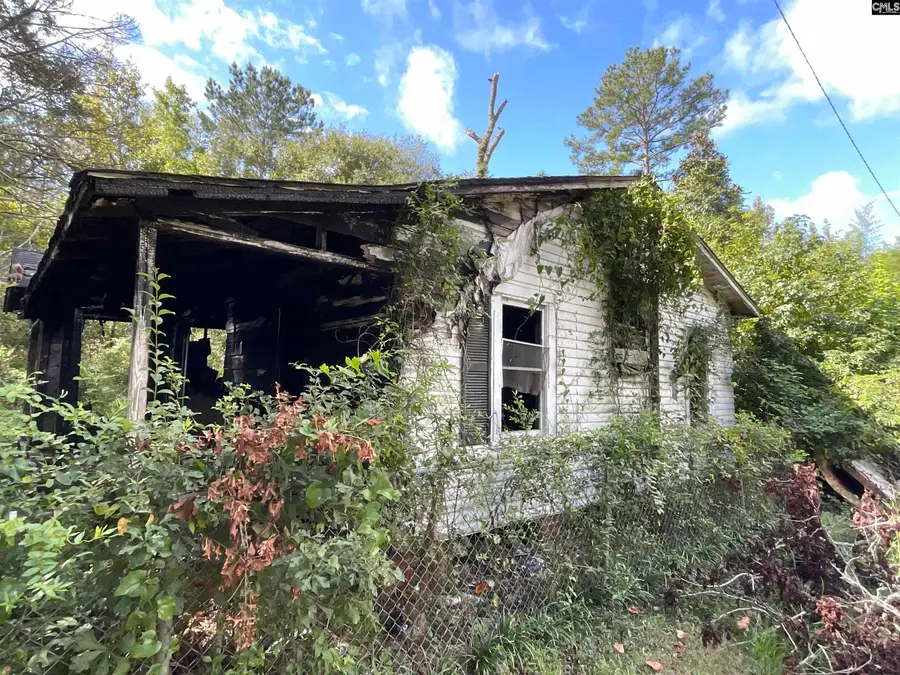 66 Swan Lane, Bamberg, SC 29003 - #2