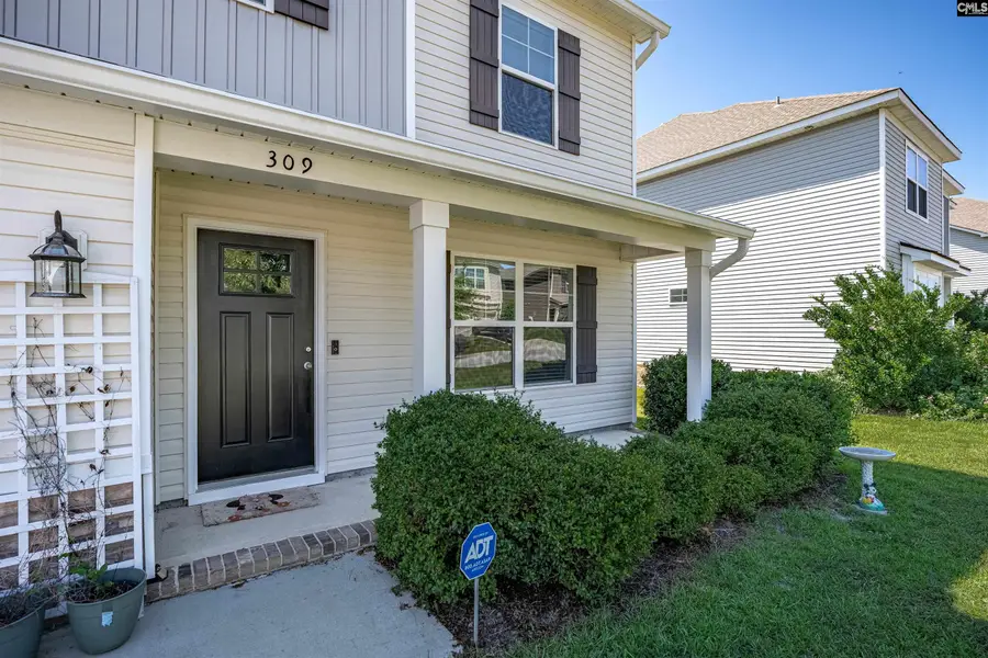 309 Meadow Saffron Drive, Lexington, SC 29073 - #3