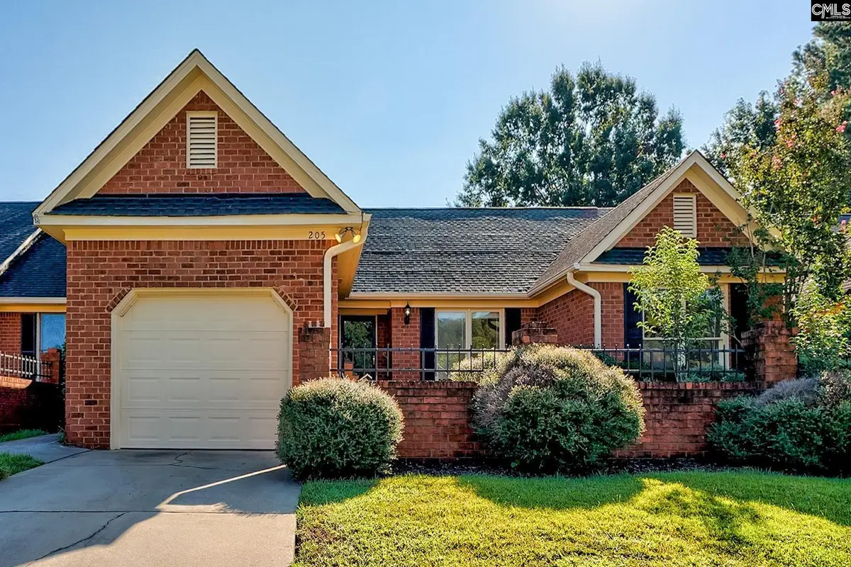 205 Blue Cedar Road, Irmo, SC 29063 - #1