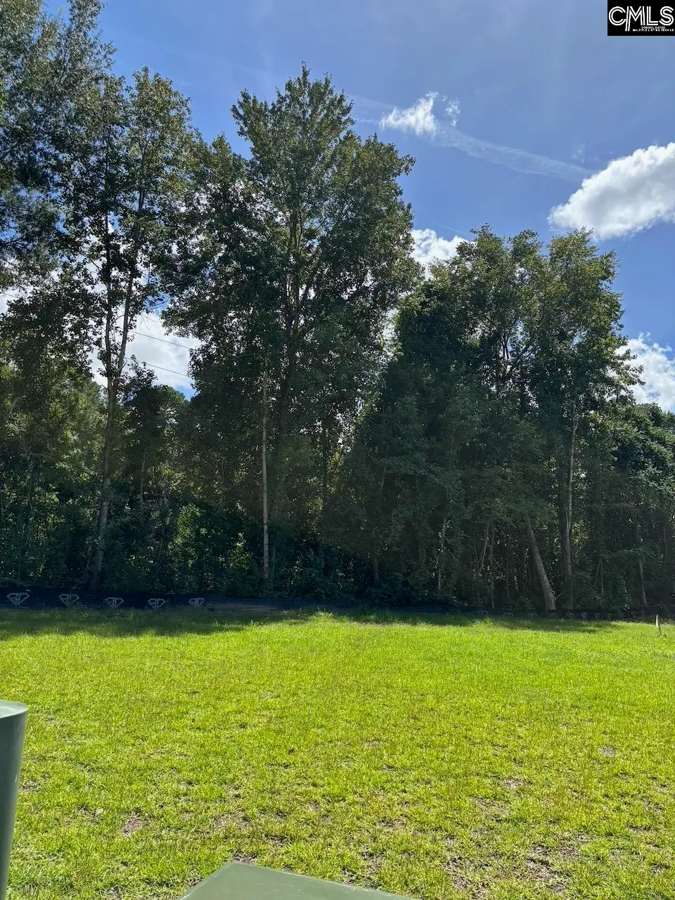 0 Shine, Moncks Corner, SC 29461 - #1