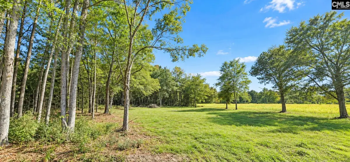 9998 Carvers Bay Road, Hemingway, SC 29554 - #1