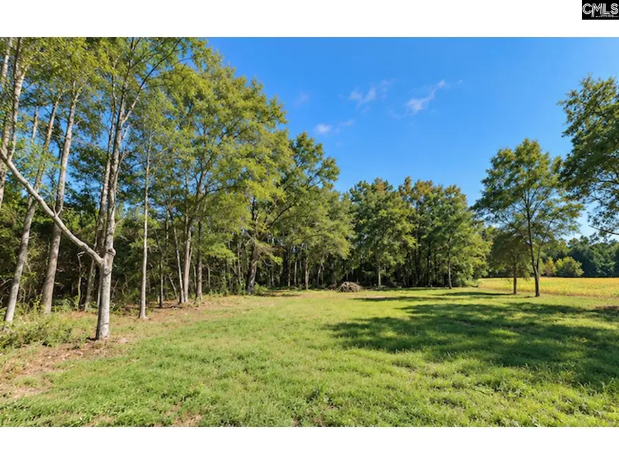 9998 Carvers Bay Road, Hemingway, SC 29554 - #3
