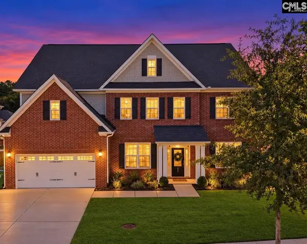 154 Almofini Lane, Chapin, SC 29036