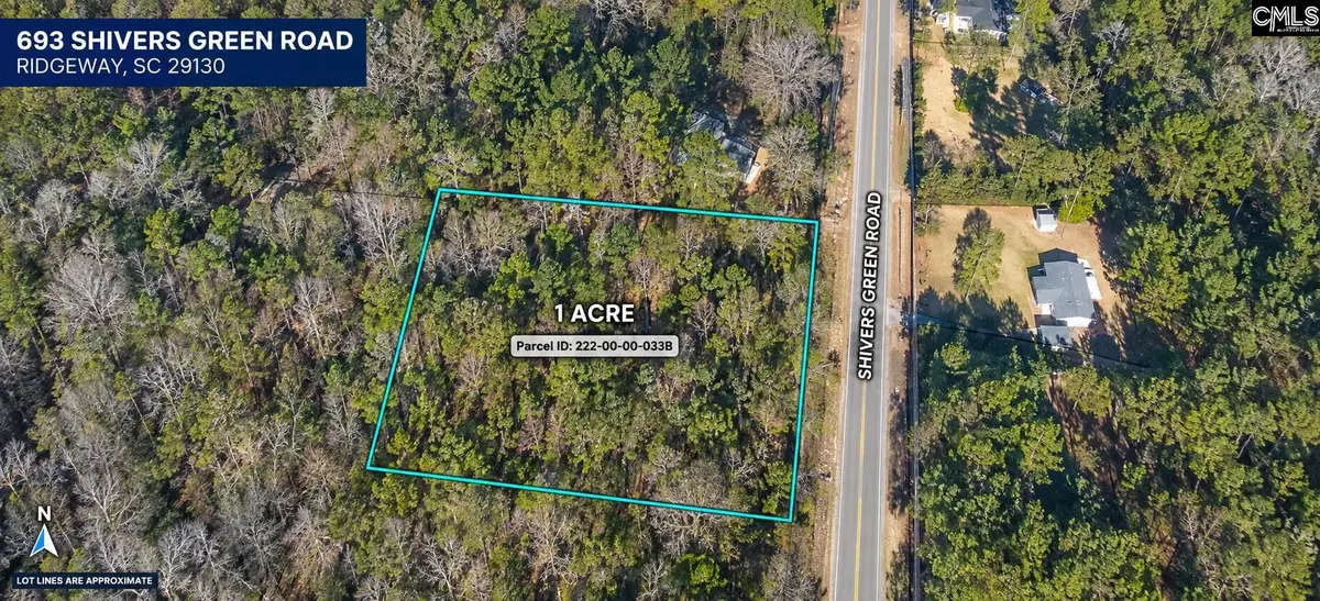 693 Shivers Green Road, Ridgeway, SC 29130 - #1