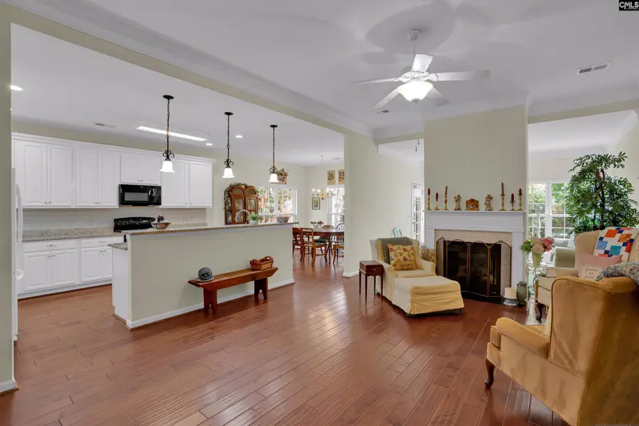 921 Fairline Court, Chapin, SC 29036 - #3