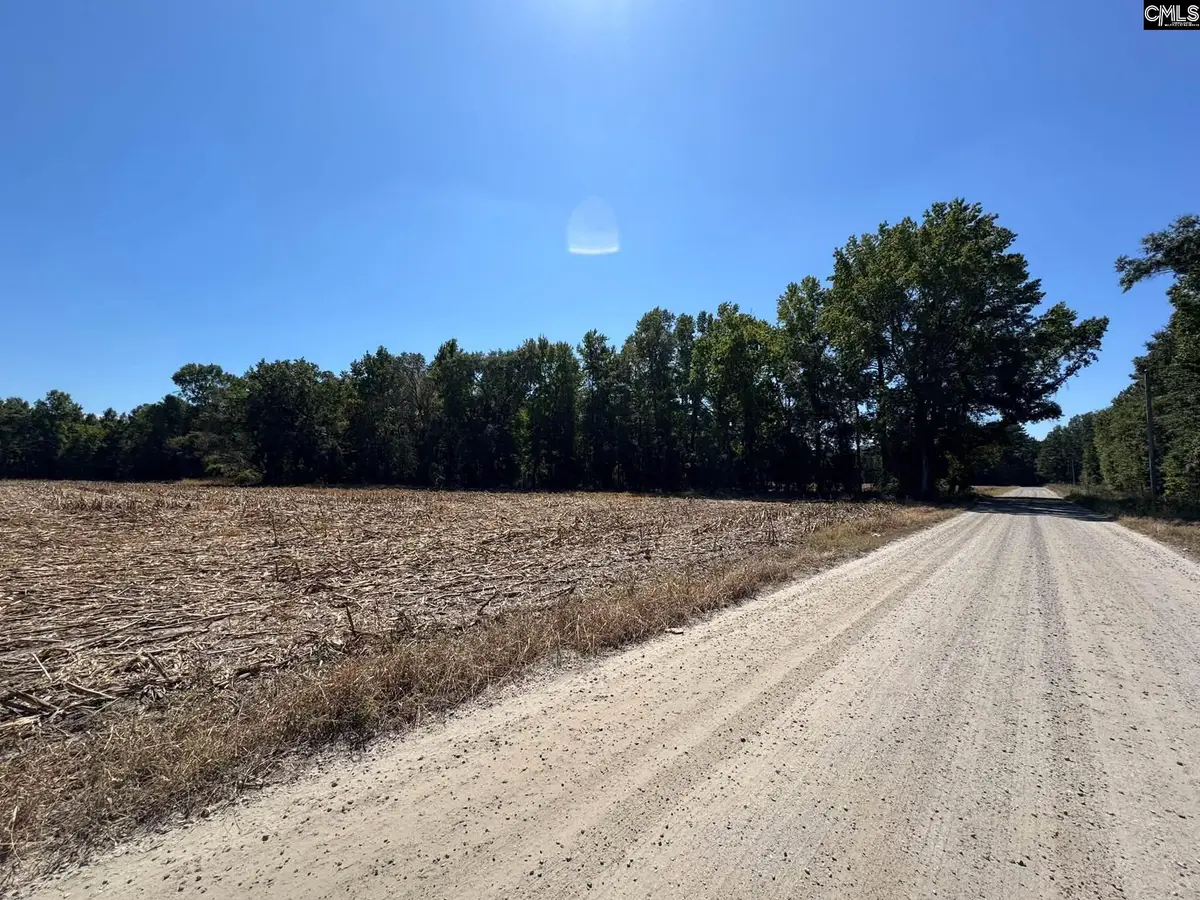Saint Matthews Church Road, Sumter, SC 29153 - #1