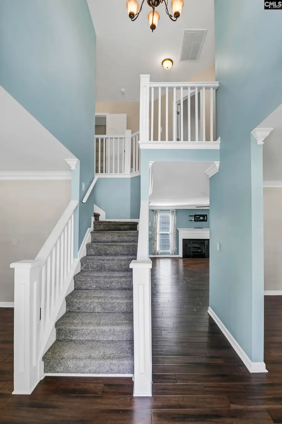 647 Park Road, Lexington, SC 29072 - #3