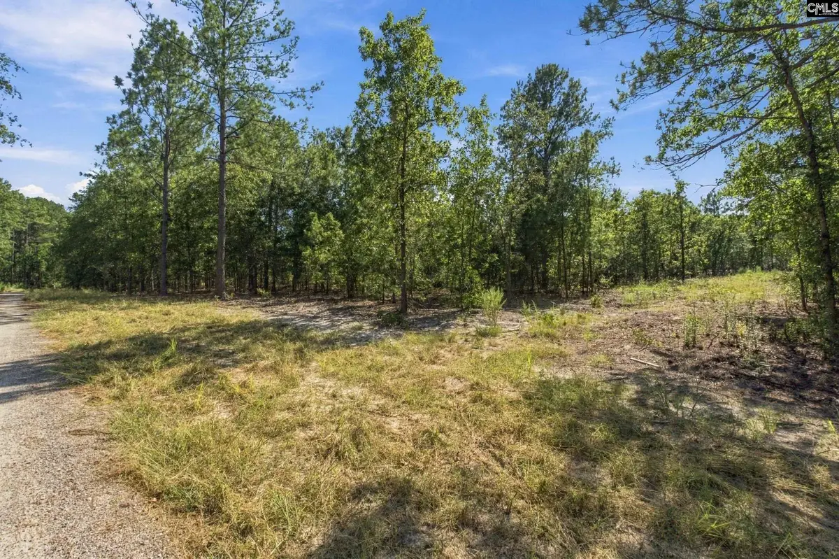 137 Pointers Path, Camden, SC 29020 - #1