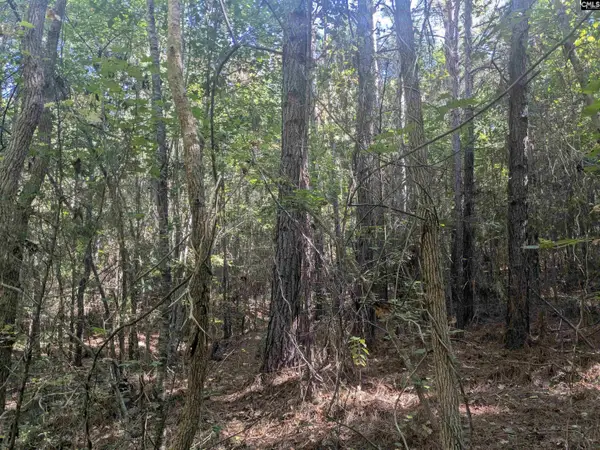 0 Timberlane Drive, Winnsboro, SC 29180
