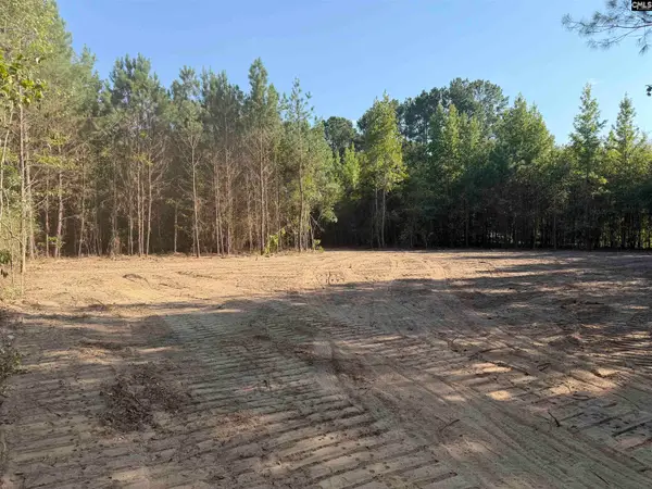 TBD New Hopewell Road, Hartsville, SC 29550