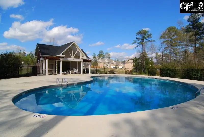 769 Dutchmans Branch Court, Irmo, SC 29063 - #2