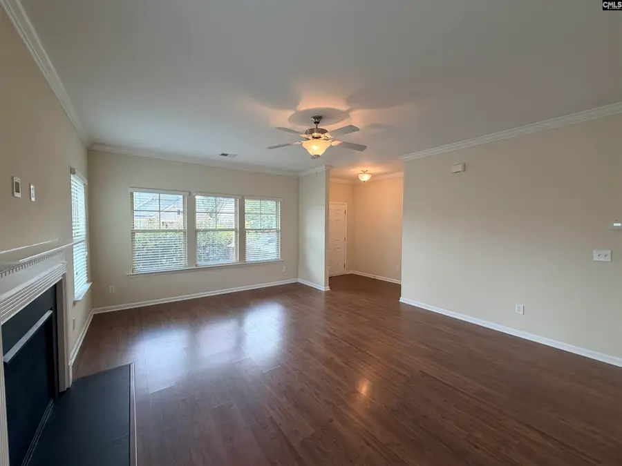 815 Burnview Lane, Chapin, SC 29036 - #3