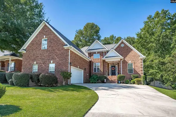 582 Village Church Drive, Chapin, SC 29036