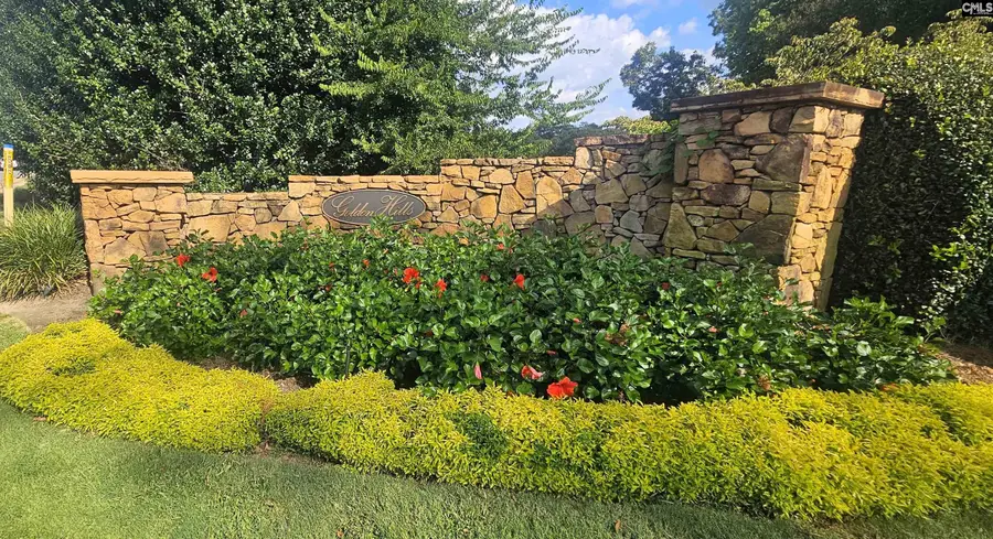 141 Clayborn Drive, Lexington, SC 29072 - #2
