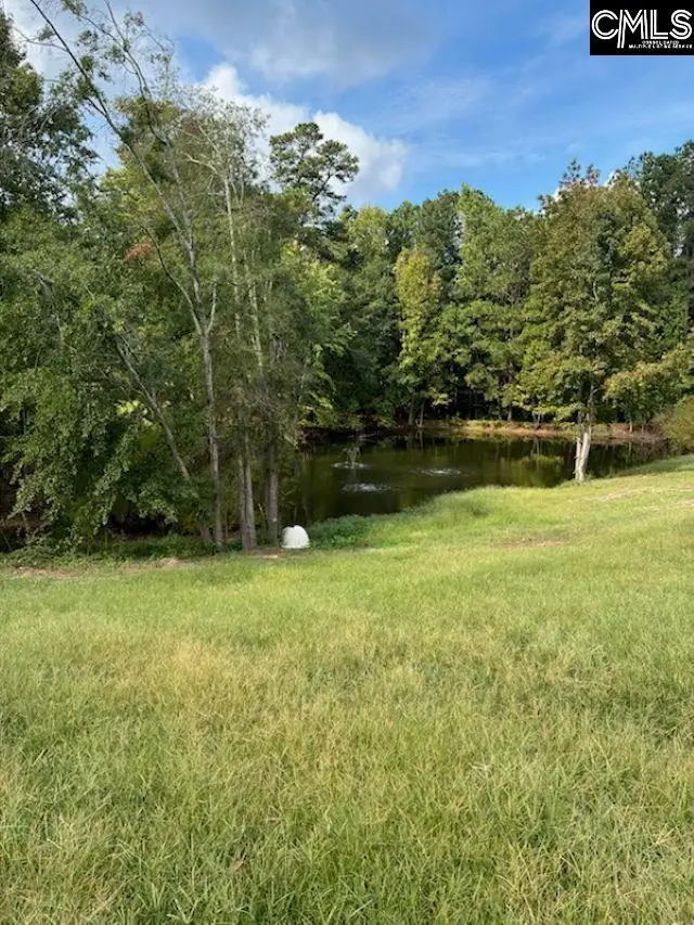6009-A Wescott Road, Irmo, SC 29212 - #1