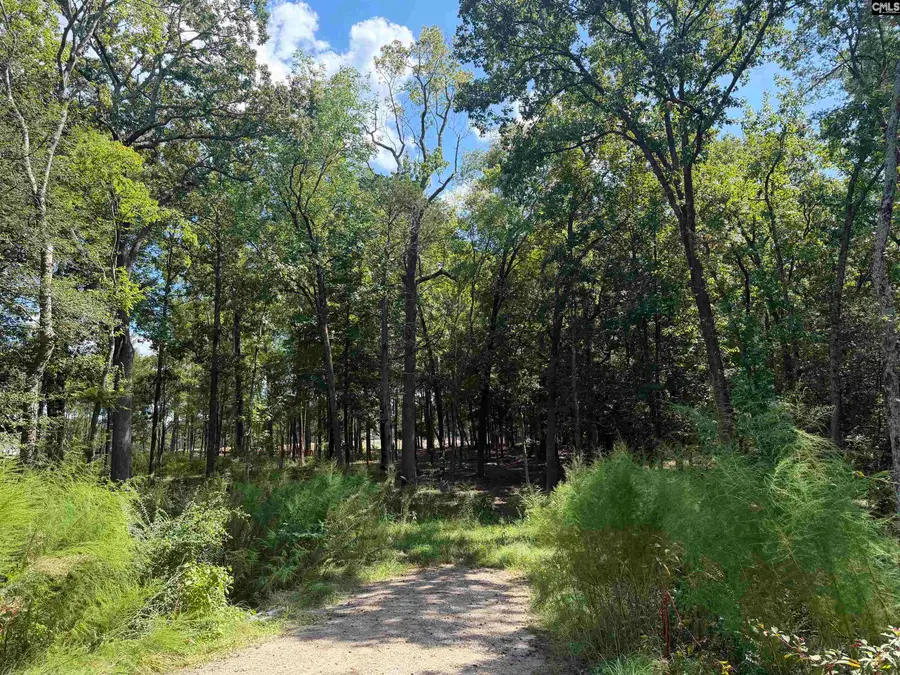1227 Beechcreek Road, Lexington, SC 29073 - #2