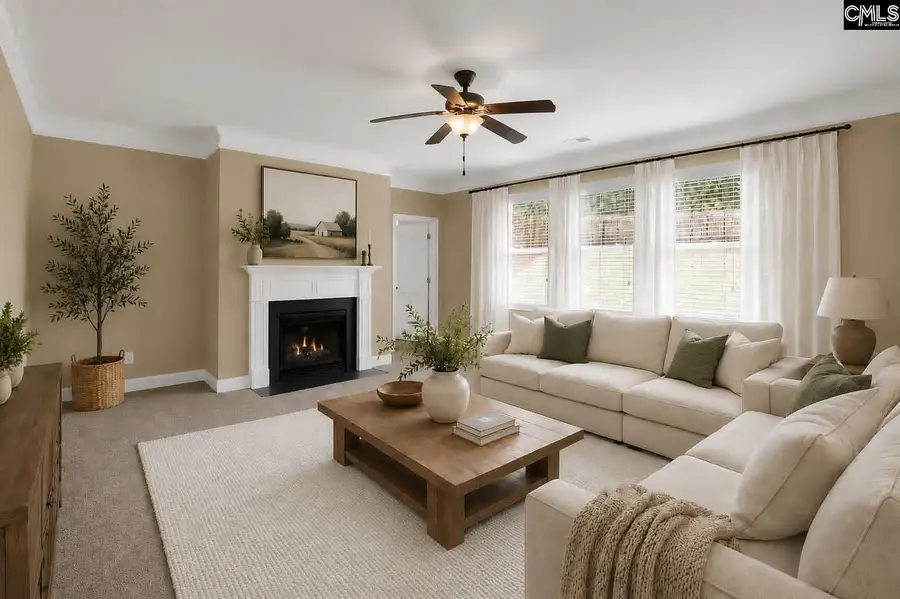 246 Mill House Lane, Lexington, SC 29072 - #3
