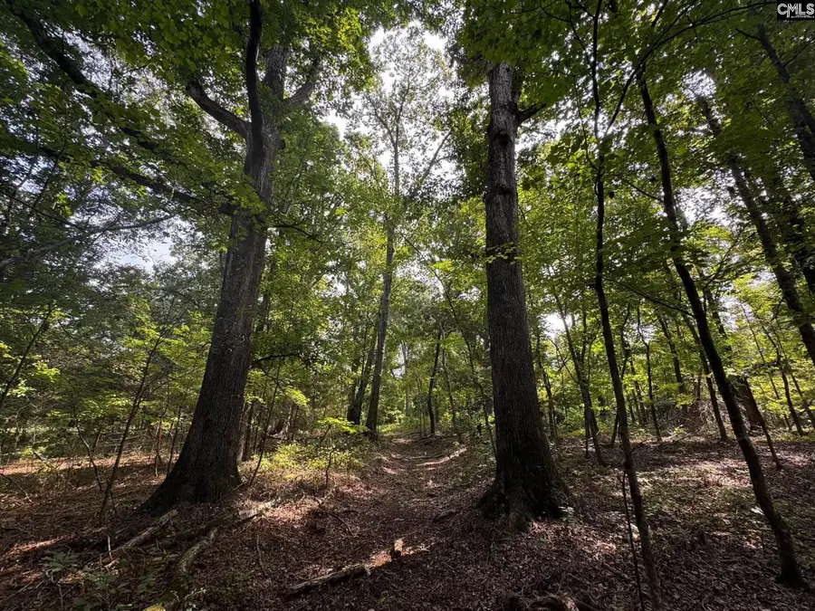 Pencreek Road, Johnston, SC 29832 - #2