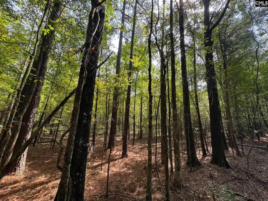 Pencreek Road, Johnston, SC 29832 - #3