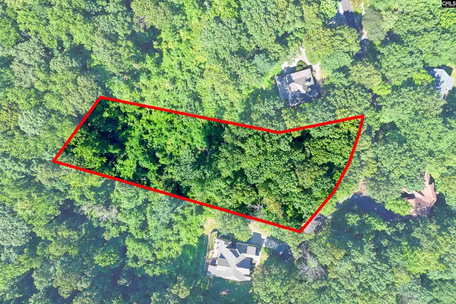 10 Northslope View, Landrum, SC 29356 - #2