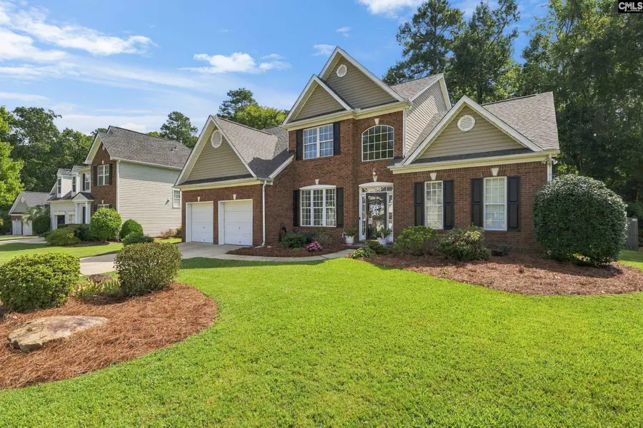 6 Swainson Court, Irmo, SC 29063 - #3