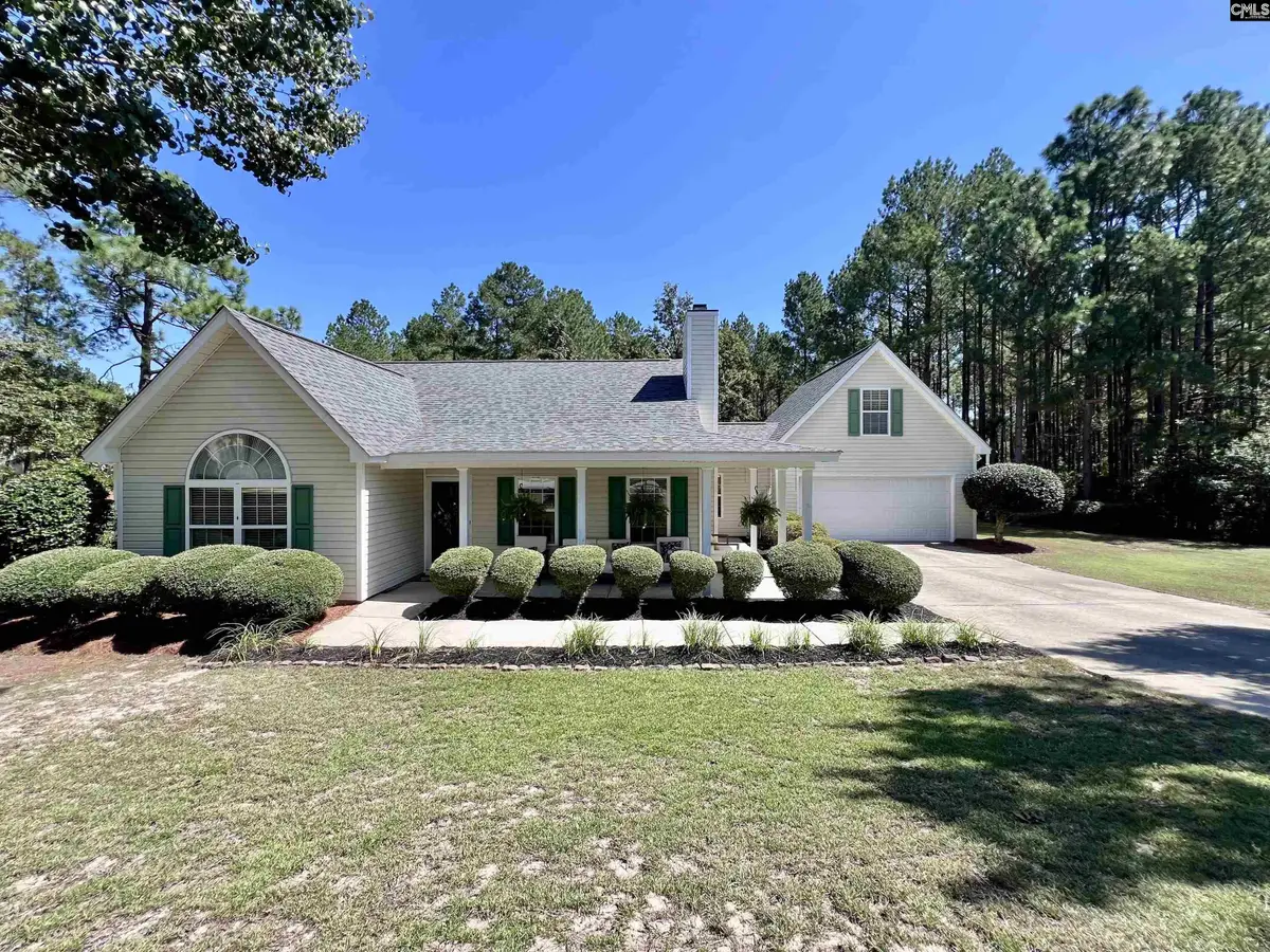 275 Siddington Way, Lexington, SC 29073 - #1