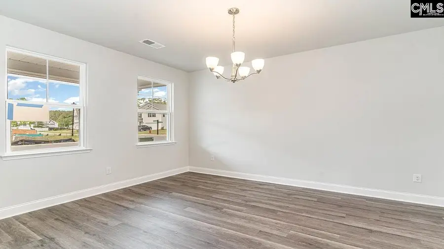 145 Sunny Stream Drive, Chapin, SC 29036 - #3
