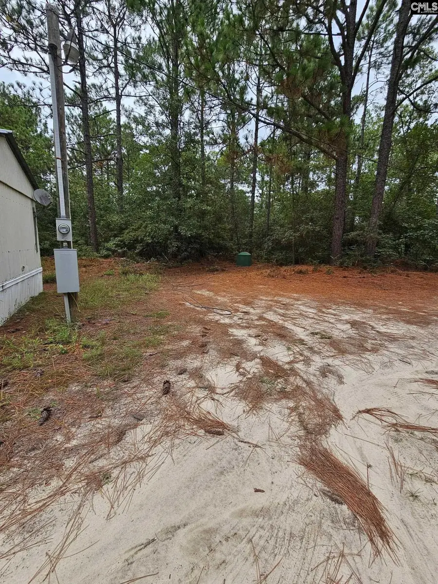 406 Sells Court, Pelion, SC 29123 - #3