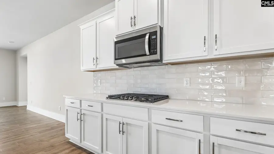 607 Shining Sun Court, Gilbert, SC 29054 - #2
