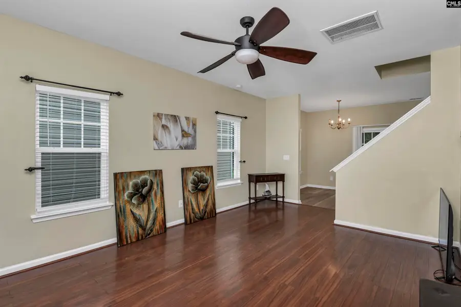 163 Stanley Court, Lexington, SC 29073 - #2