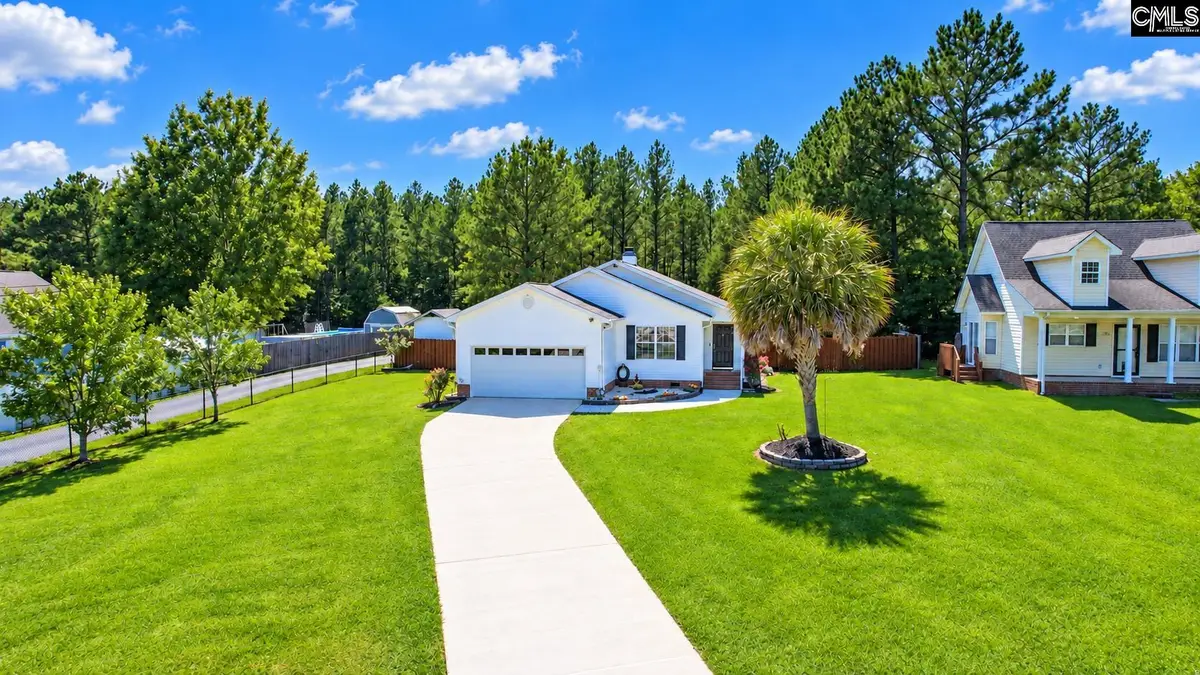 539 Old Bush River Road, Chapin, SC 29036 - #1