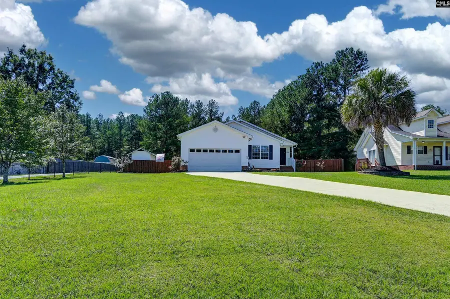 539 Old Bush River Road, Chapin, SC 29036 - #3