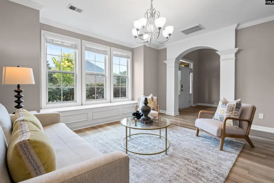 220 Indigo Hills Drive, Chapin, SC 29036 - #2
