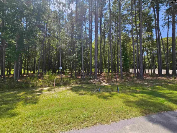 Lot 6 Stewart Landing Drive, Prosperity, SC 29127