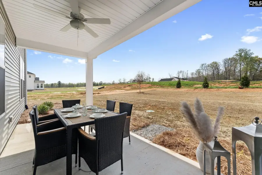 462 Haflinger Lane, Lexington, SC 29072 - #2