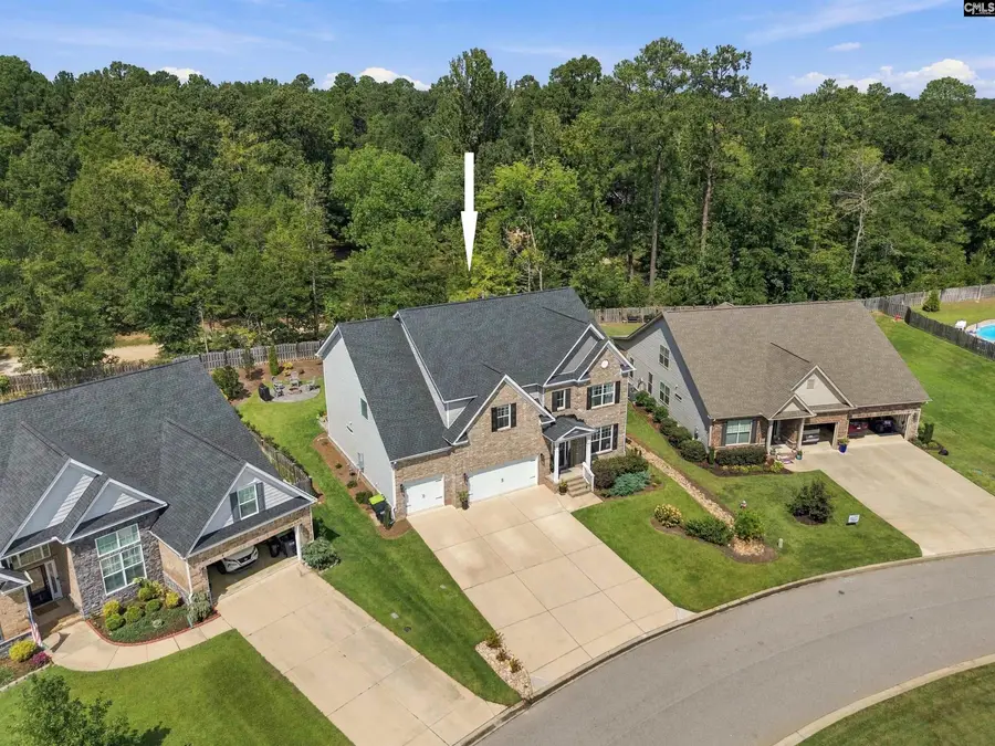 331 Springbrook Way, Chapin, SC 29036 - #2