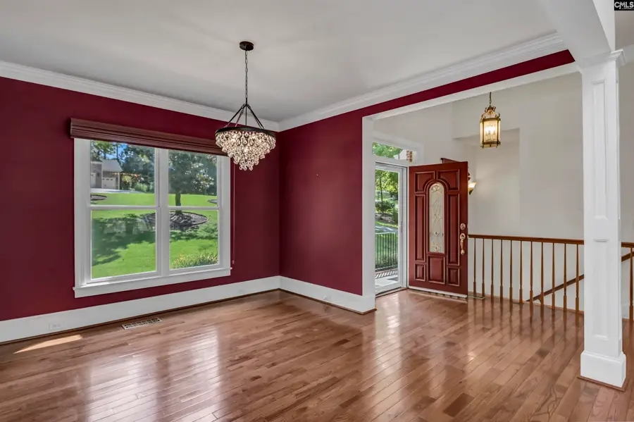 420 Lookover Pointe Drive, Chapin, SC 29036 - #3