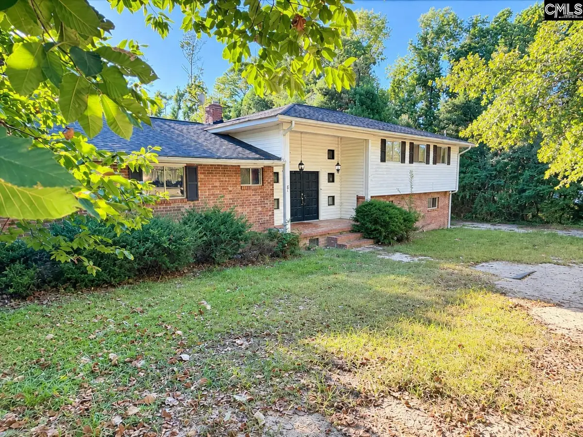345 Marion Street, Batesburg, SC 29006 - #1