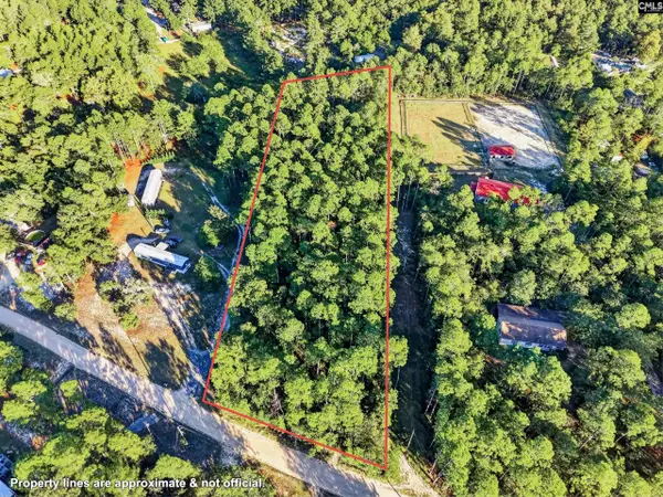 125 Chippewa Trail, Leesville, SC 29070